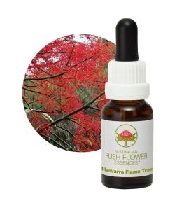 Illawarra Flame Tree, 15 ml
